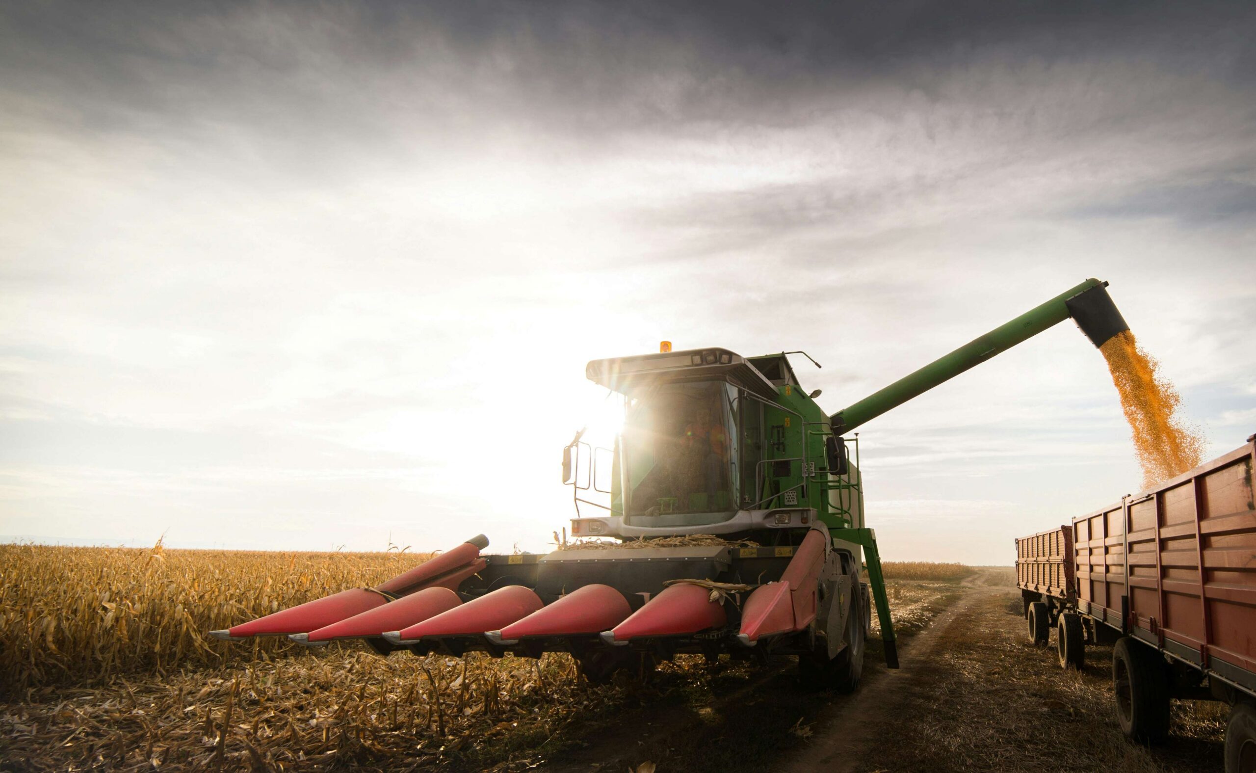 A green combine harvester unloads corn into a red trailer in a sunlit field. The sky is partly cloudy, capturing a busy harvest scene with dynamic light.